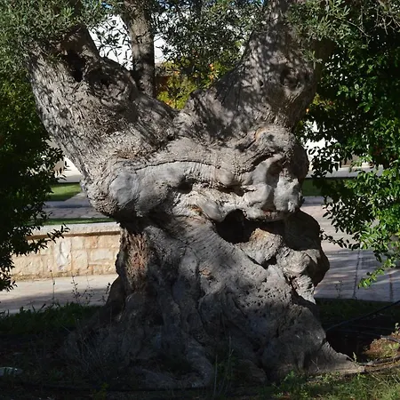 Relais Antica Masseria Landhaus